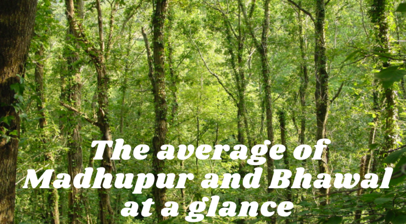 The average of Madhupur and Bhawal at a glance