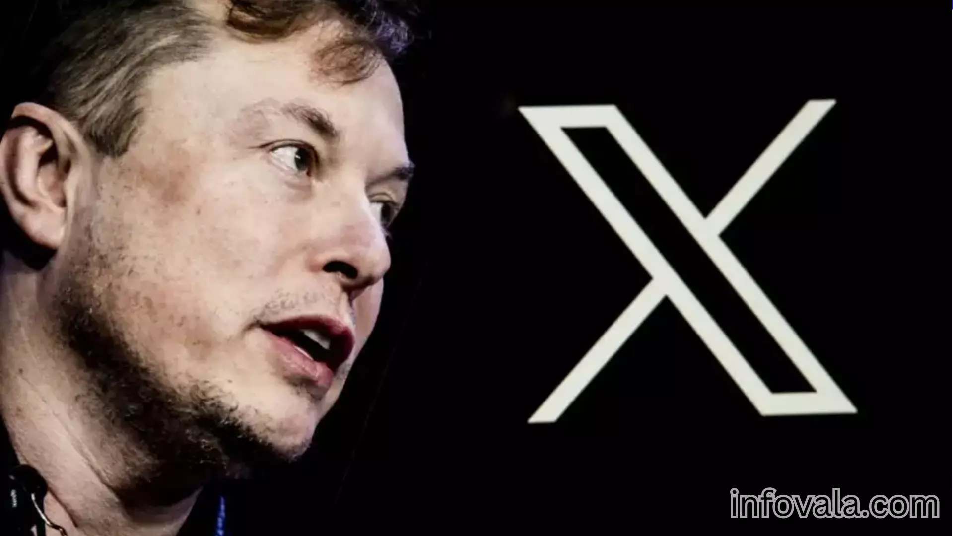 Elon Musk Twitter X App